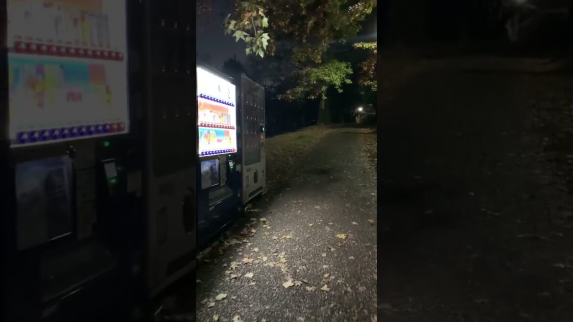Walking around the park at night #travel #japanwalker #japanesecity #japan #vlog #yokohama