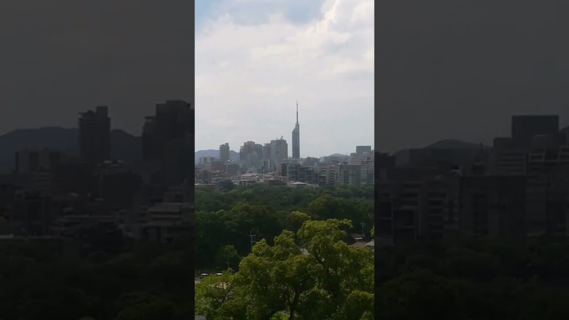 Blick zum Fukuoka Tower (Japan 2023) Blick zum Fukuoka Tower (Japan 2023)