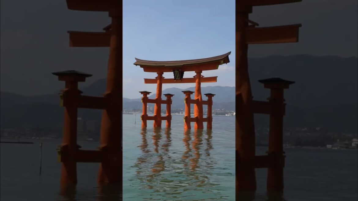 the floating torii gate ⛩️ #japan