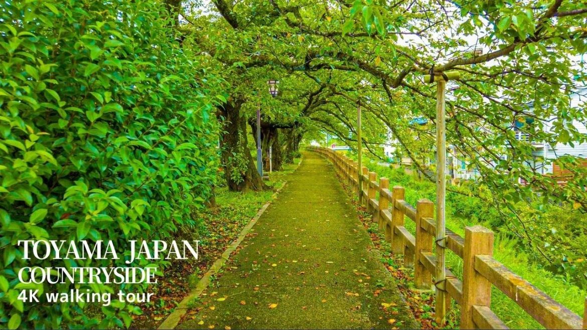 4K Toyama - Japan countryside walking tour (富山県富山市)