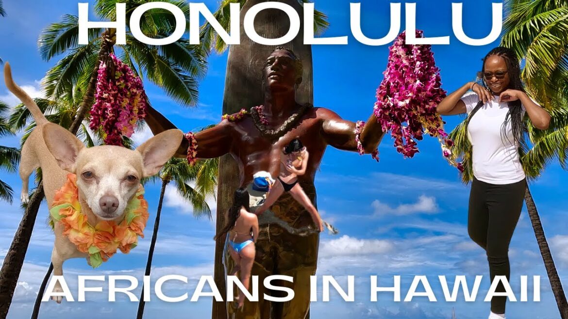 Native Hawaiian Perspective : "Waikiki, Honolulu Pt1 4k.