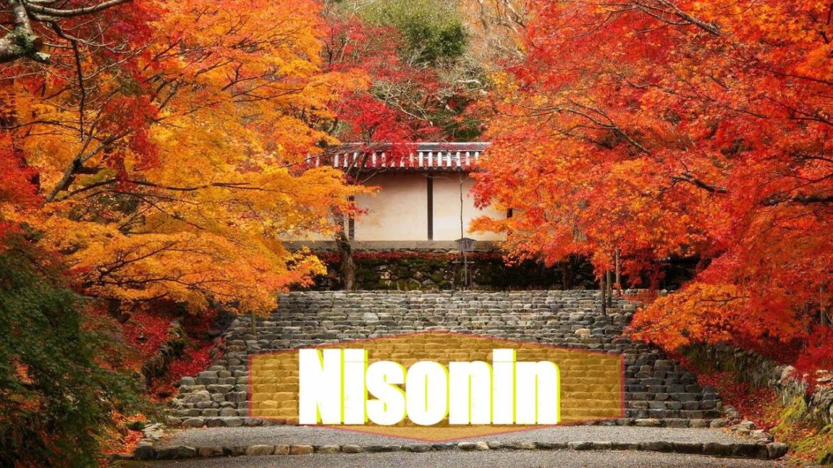Autumn in Kyoto 2023 | Episode 2| #Nisonin Temple #二尊院 Autumn in Kyoto 2023 | Episode 2| #Nisonin Temple #二尊院