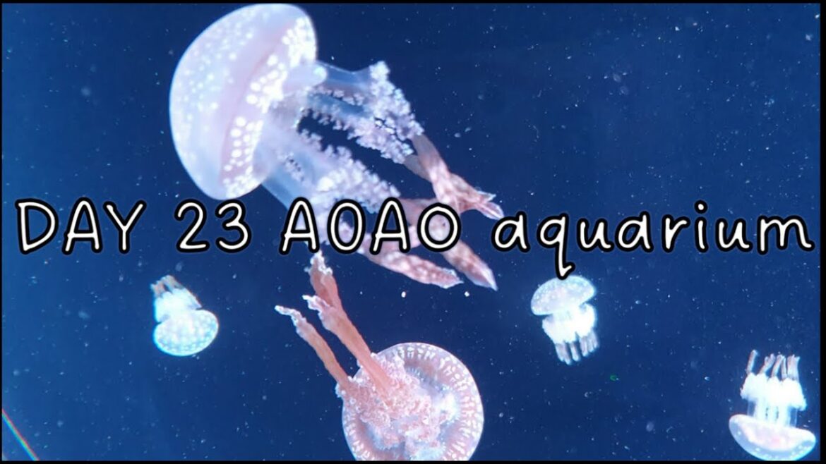 Solo travel Vlogs Day 23 AOAO Sapporo Solo travel Vlogs Day 23 AOAO Sapporo