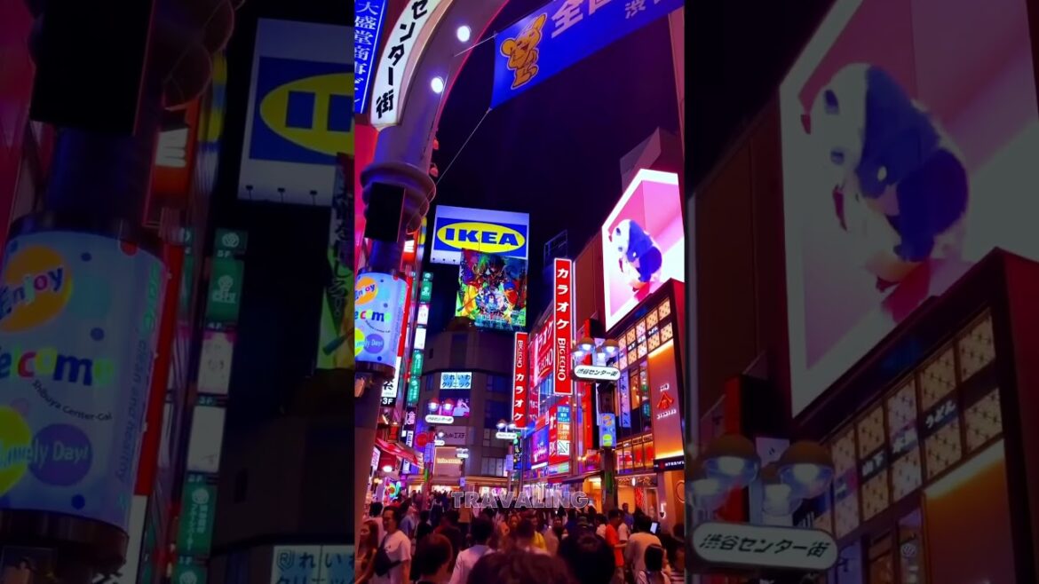 Places in Japan don't feel real📍🌎#travel #explore #adventure #placestovisit #japan #fuji #flowers