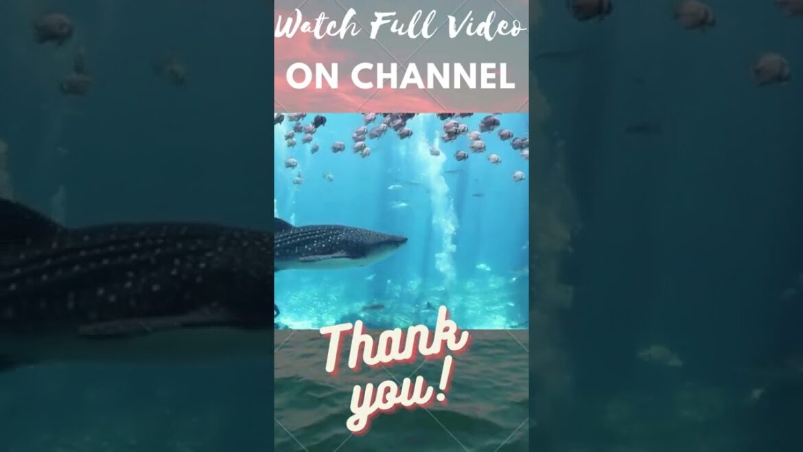 The Top 10 Best Places To Visit in Japan #Shorts #japan #travel #vacation