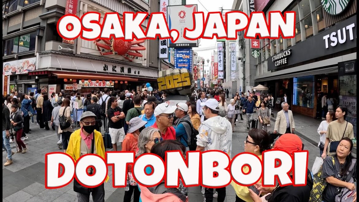 Dotonbori, Tombori River Cruise Tickets, Don Quijote, Riffle Game, Cherry Blossom Ice Cream Melonpan Dotonbori, Tombori River Cruise Tickets, Don Quijote, Riffle Game, Cherry Blossom Ice Cream Melonpan