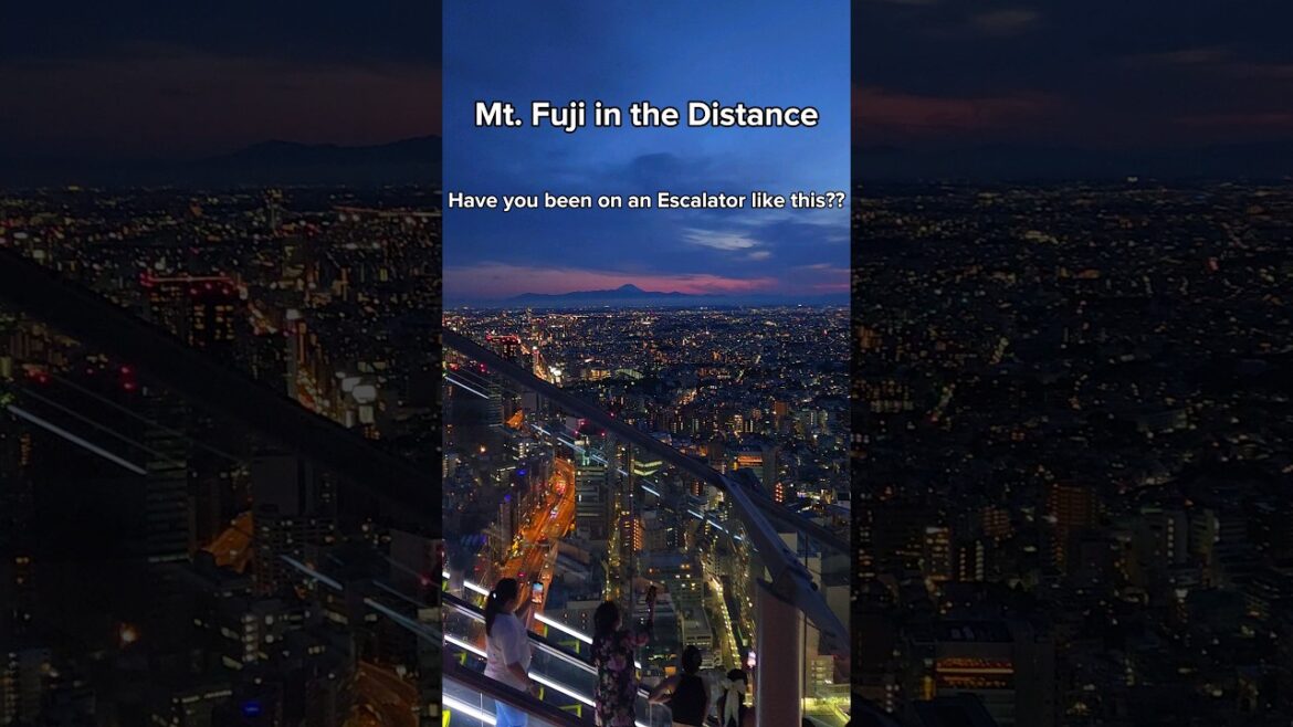 Tokyo at SUNSET from Shibuya Sky - Tokyo Japan #shorts #tokyo #japantravel