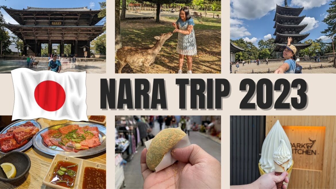 Nara Adventure 2023: Deer Feeding, Temples, Izakaya, and Famous Mochi!