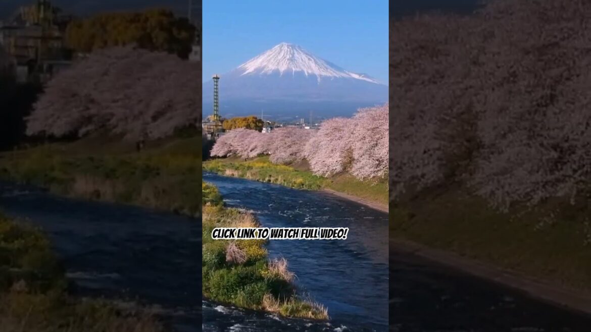 Japan Travel Part 1 #Japan #Japantravelguide Japan Travel Part 1 #Japan #Japantravelguide