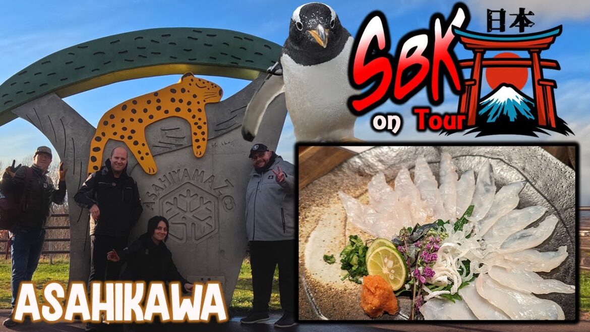 Kugelfisch und Tierkacke in Asahikawa Kugelfisch und Tierkacke in Asahikawa