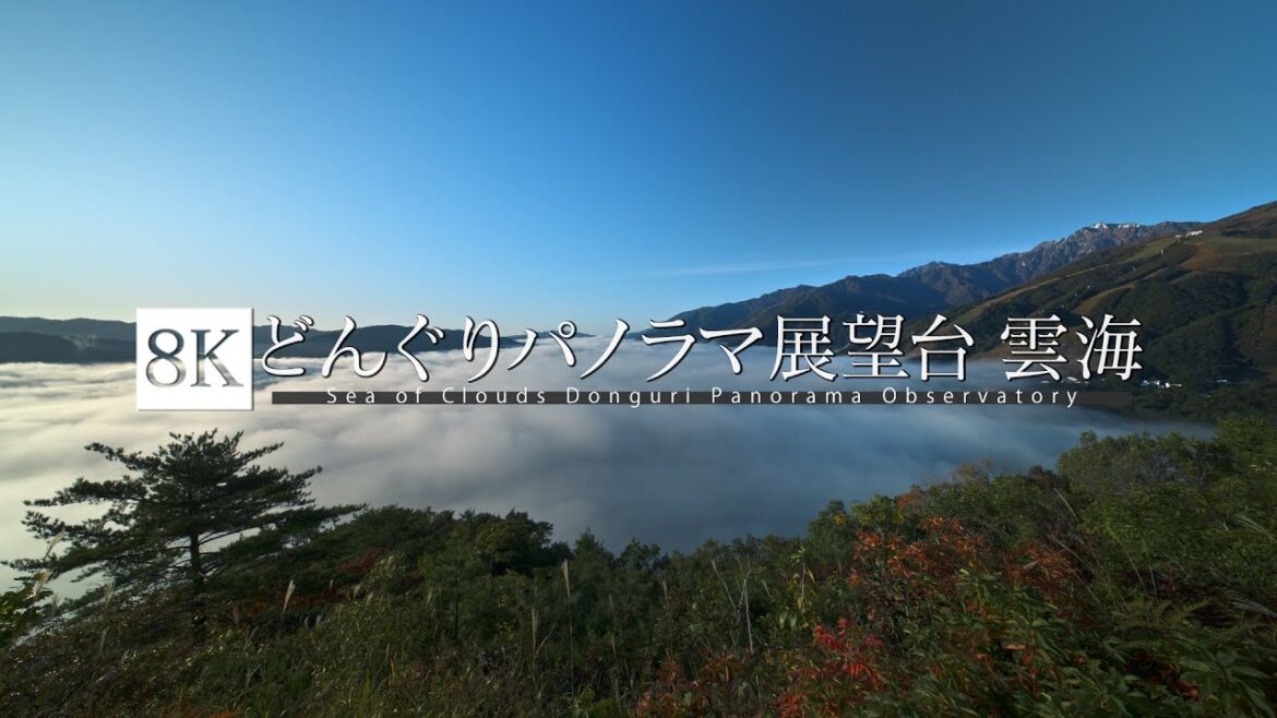 信州 秋の絶景シリーズ Vol.1 白馬 どんぐりパノラマ展望台からの雲海 [8K footage] Sea of Clouds Donguri Panorama Observatory Hakuba