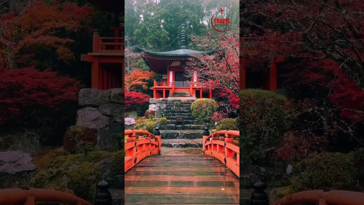 Exploring Daigo-ji Temple 醍醐寺 : Kyoto's Hidden Gem  #travel #beauty#daigo #hiddengem #shorts