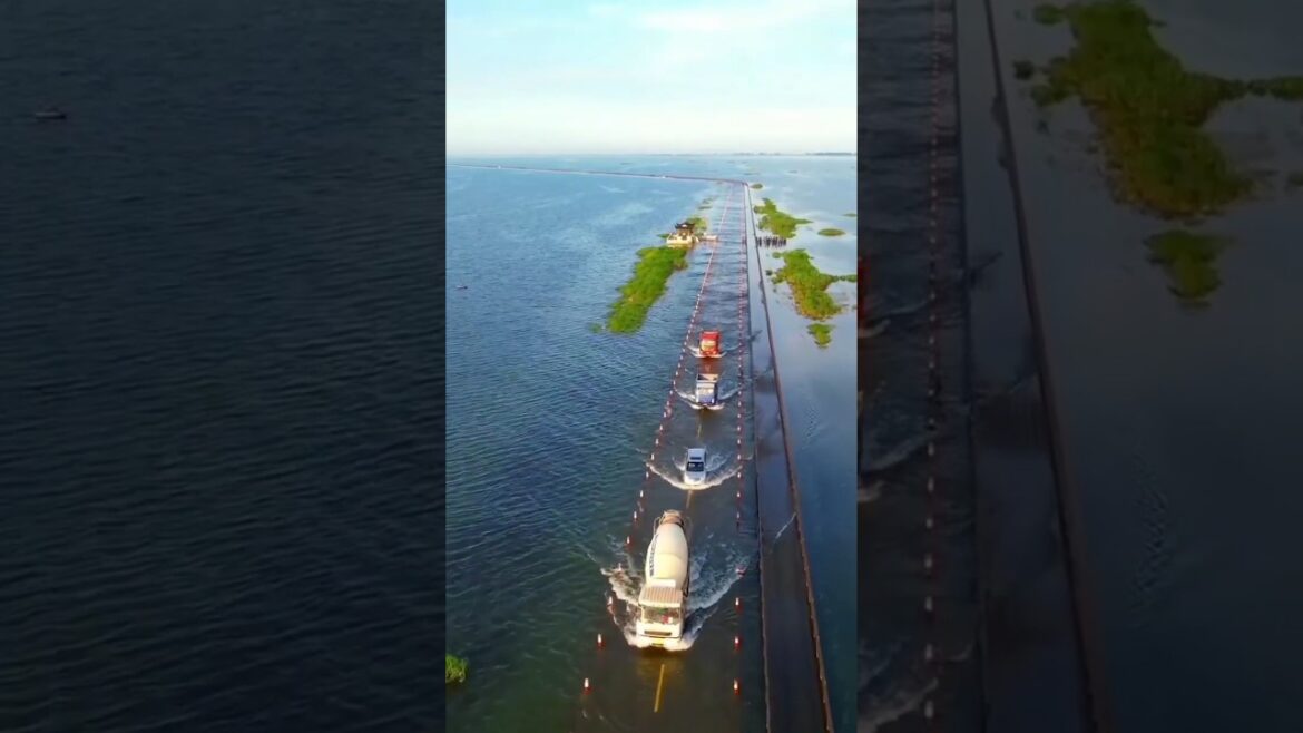 Amazing Travel🛣️🛣️ #shortfeeds #shorts #short #travelphotography #travel #amazingfact #like #youtube Amazing Travel🛣️🛣️ #shortfeeds #shorts #short #travelphotography #travel #amazingfact #like #youtube