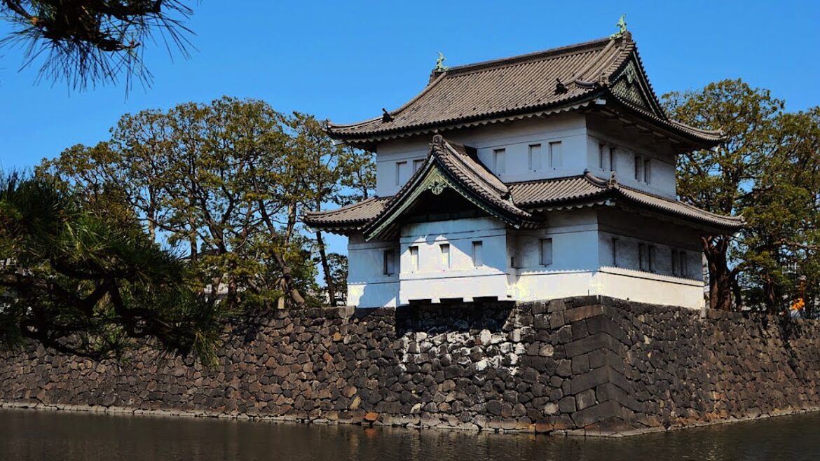 The Beautiful Kokyo Gaien National Garden, Tokyo! | JAPAN LIVESTREAMS 2023 The Beautiful Kokyo Gaien National Garden, Tokyo! | JAPAN LIVESTREAMS 2023