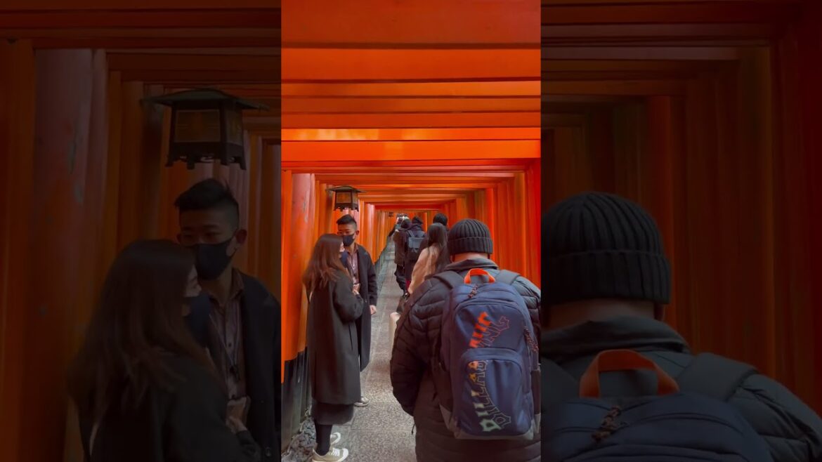 torii gates at Fushimi Inari Shrine in Kyoto, Japan