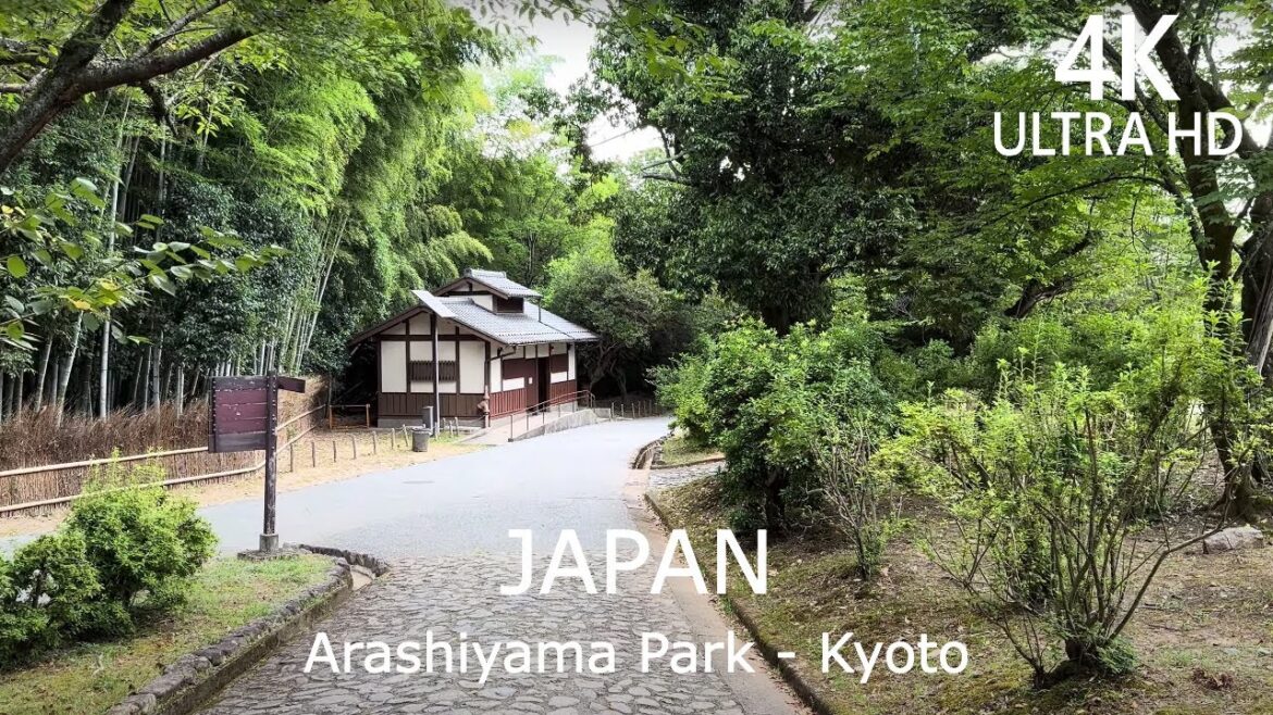 4K Walk Tour – Morning Walking in Mountain Park, Kyoto | Japan 4K Walk Tour - Morning Walking in Mountain Park, Kyoto | Japan