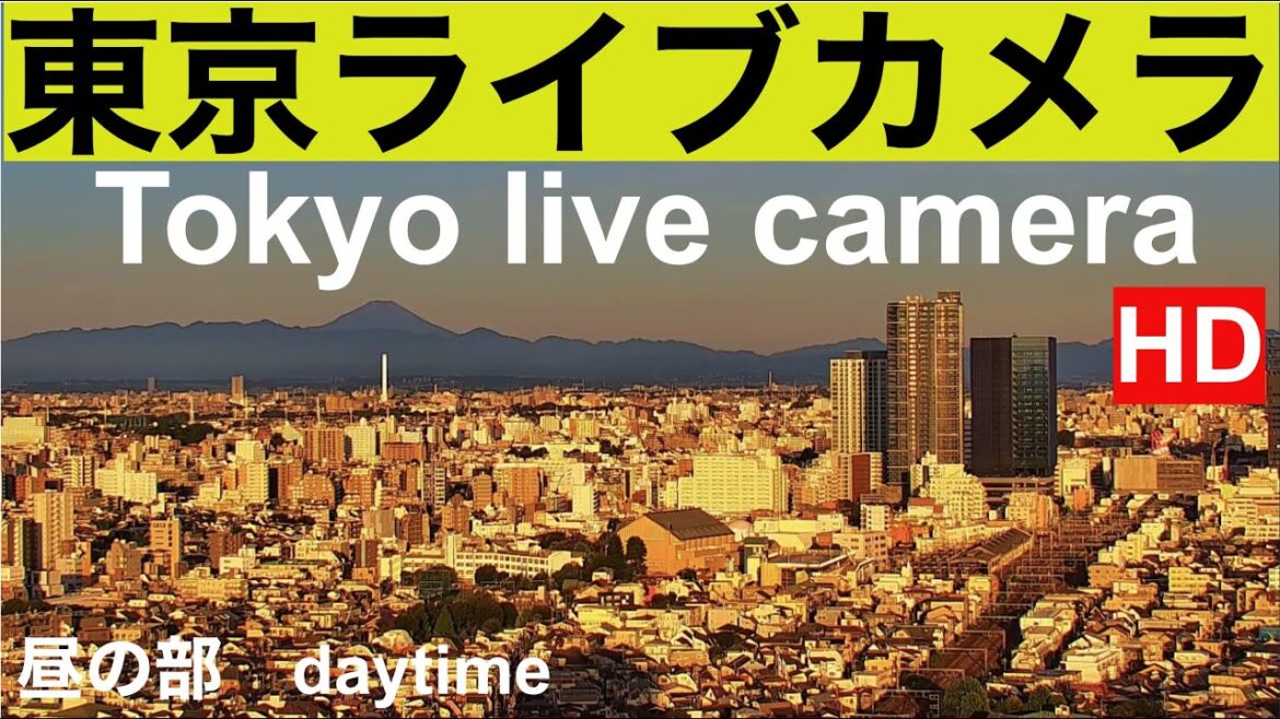 紅富士、TOKYO LIVE CAMERA ,東京ライブカメラ,  Línea Tokio,  Tokyo Line,  东京现场摄像,  도쿄 라이브 카메라