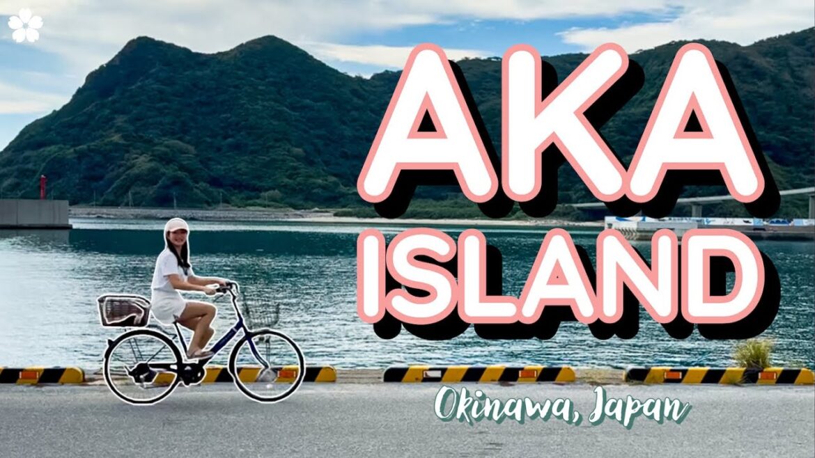 Discover Aka Island, Okinawa 🏖 Biking, Beaches & Local Delight Discover Aka Island, Okinawa 🏖 Biking, Beaches & Local Delight