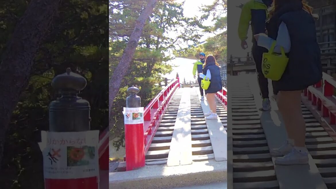 Walking Around Matsushima Bay #japan Walking Around Matsushima Bay #japan