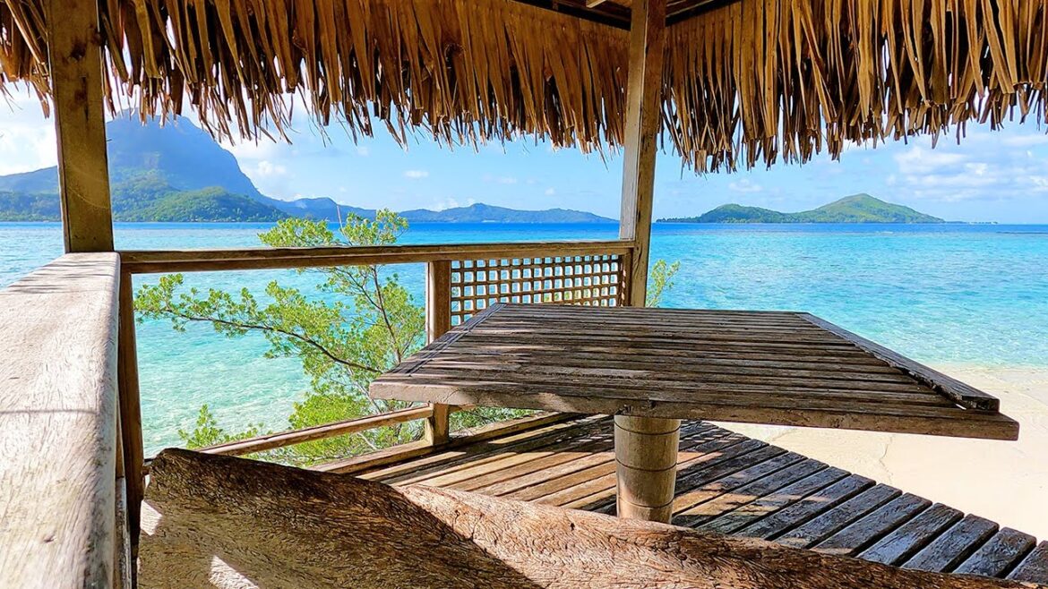 Zen Spot: 3 Hours of Dreamy Ambient Wave Sounds & Video For Meditating From French Polynesia Zen Spot: 3 Hours of Dreamy Ambient Wave Sounds & Video For Meditating From French Polynesia