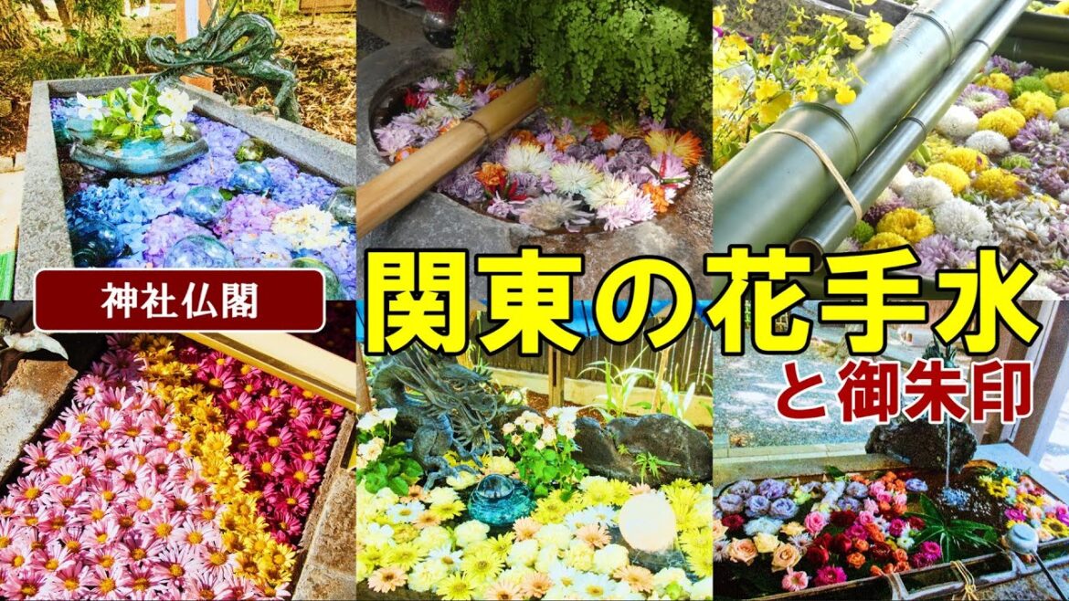 【御朱印ベスト】花手水(関東編)[日本の神社仏閣旅]