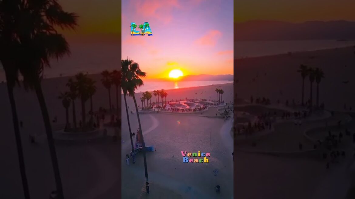 Sunset at Venice Beach #shorts #travel #california
