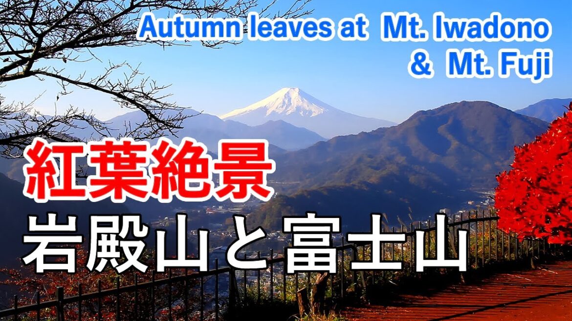 山梨県 岩殿山と富士山の紅葉絶景 / Autumn leaves of Mt. Iwadono and Mt. Fuji ( Yamanashi Japan )【日本の紅葉絶景！】 [ 4K ]