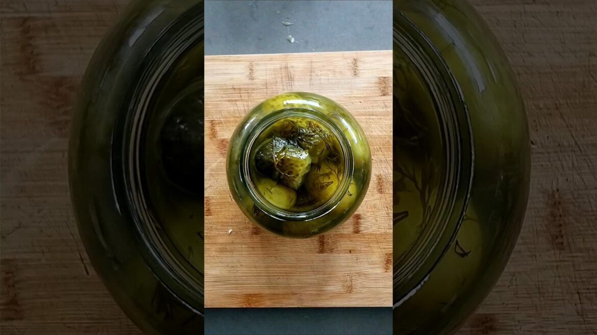 the elusive pickle eater the elusive pickle eater