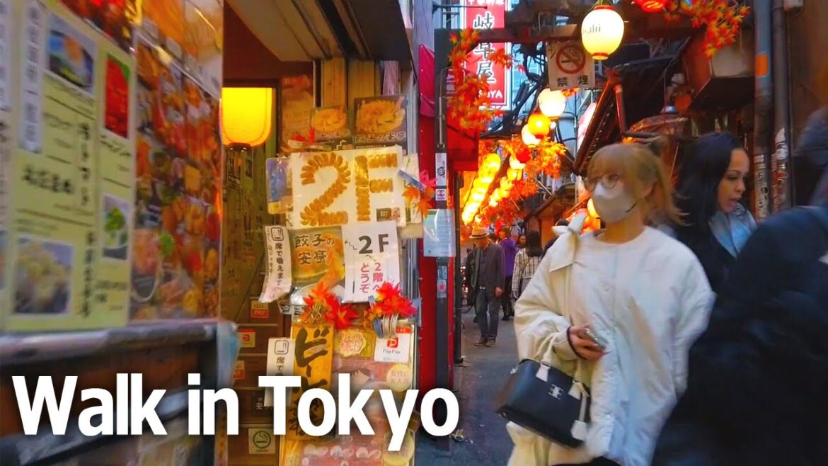 Tokyo walking tour – Autumn scenery in Shinjuku Station West Area♪ (Nov. 2023) Tokyo walking tour - Autumn scenery in Shinjuku Station West Area♪ (Nov. 2023)