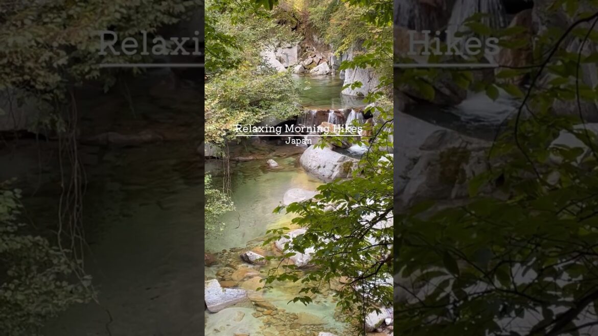 Best of Japan: Unmissable Sights｜Relaxing Morning Hikes #shorts #japantravel