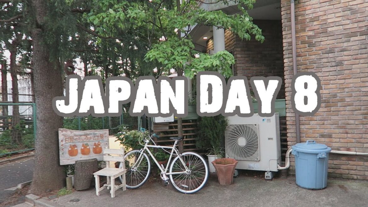 Japan Day 8 (Hair Day, Totoro Snacks, Puppies & Kittens, Shibuya)