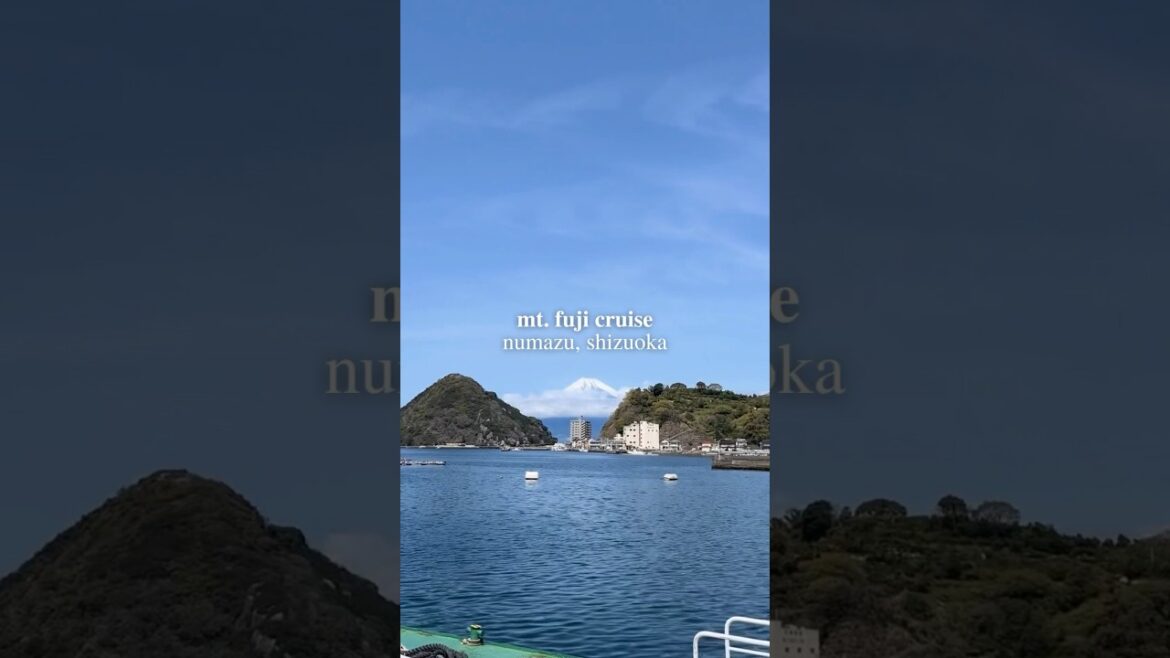Mt. Fuji Cruise (Shizuoka, Japan) #japan #shizuoka #fuji #mtfuji #boat #travel #vlog #shorts #fyp