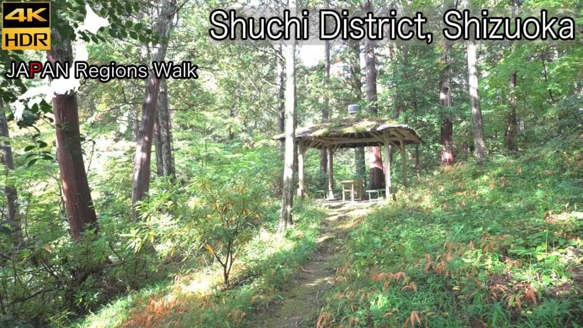 Okuni Jinja East Side | Shuchi District, Shizuoka | 静岡県周智郡