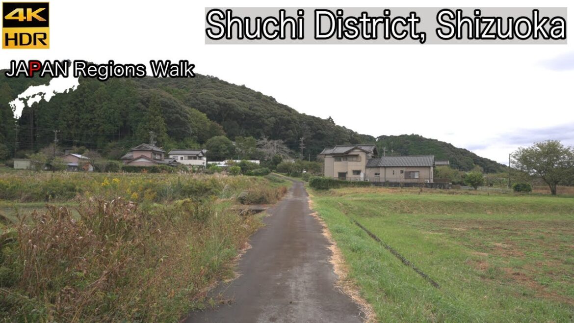 Okuni Jinja West Side | Shuchi District, Shizuoka | 静岡県周智郡