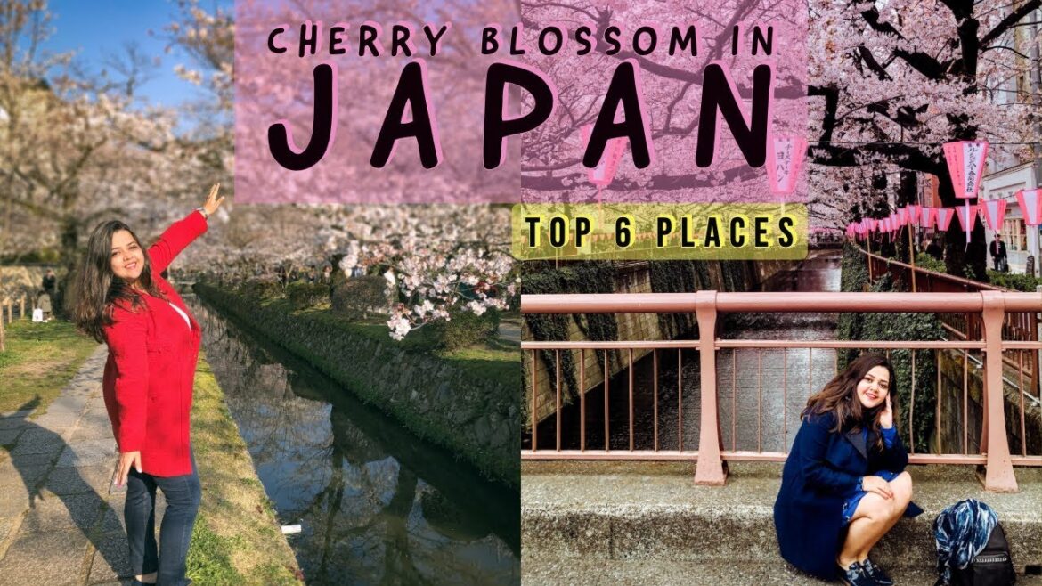 Places with best sakura in Japan I My favourite cherry blossom spots in Tokyo and Osaka Places with best sakura in Japan I My favourite cherry blossom spots in Tokyo and Osaka