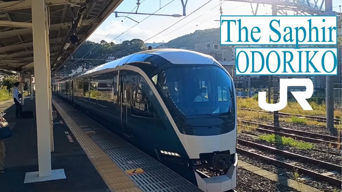 Saphir Odoriko Premium Green class from Itō to Tokyo