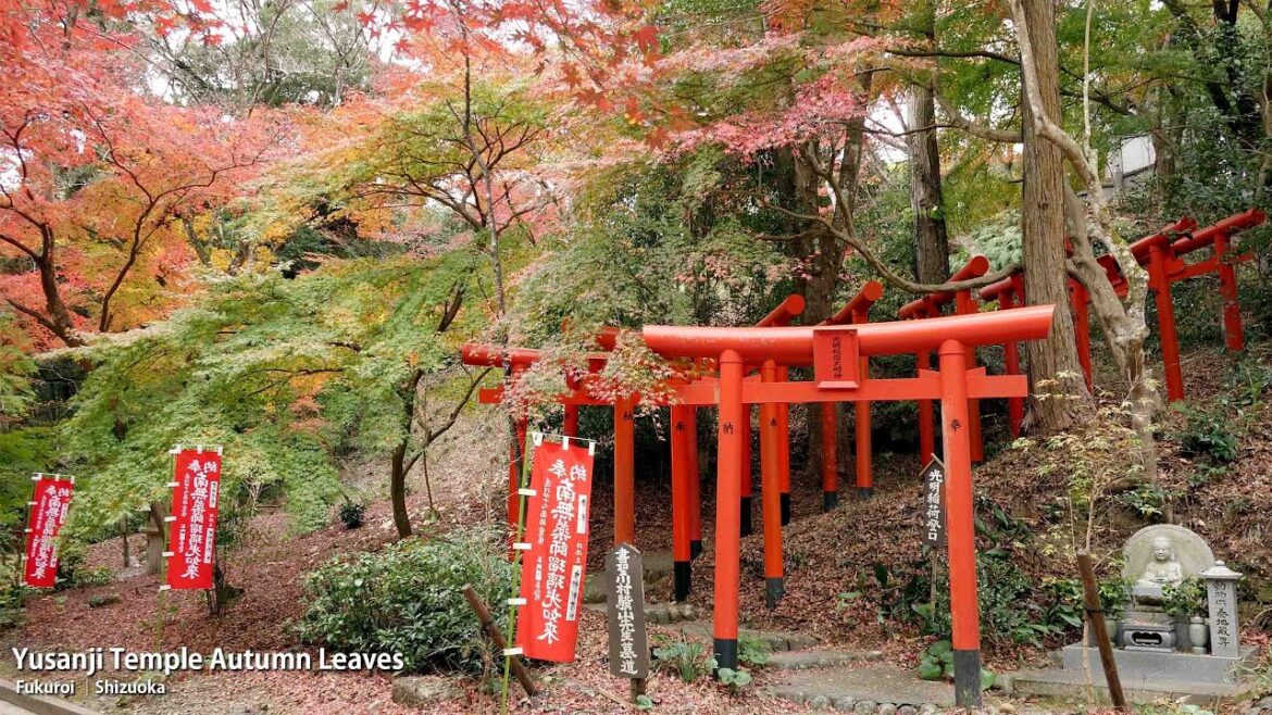 Yusanji Temple Autumn Leaves Yusanji Temple Autumn Leaves