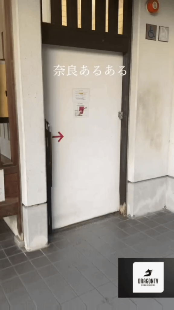 Unexpected Suprise in Toilet