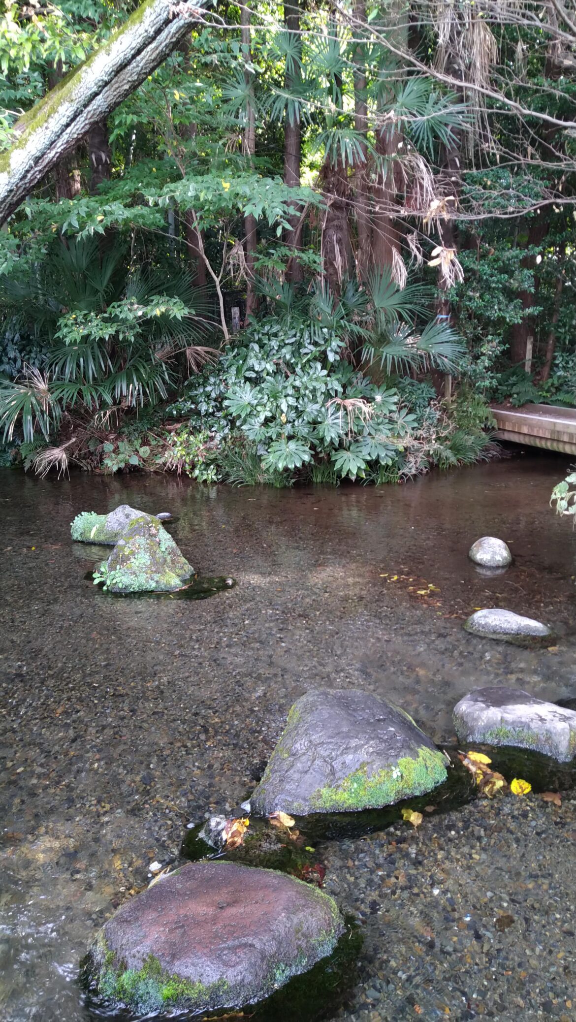 Minamisawa Spring Water, Higashikurume Tokyo.