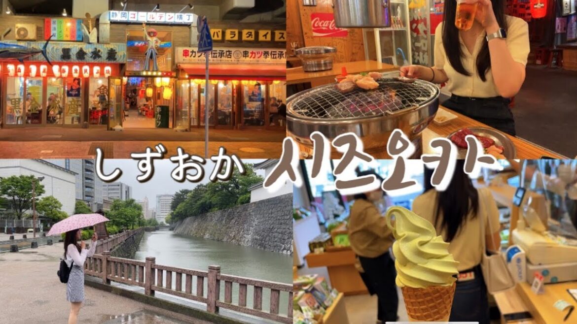 [travel] 2박3일 시즈오카 여행 ✈️ 호텔아소시아시즈오카ㅣ타마루야와사비전문점ㅣ슨푸성공원ㅣ골든요코초ㅣ유노키노사토온천ㅣ이치란라멘