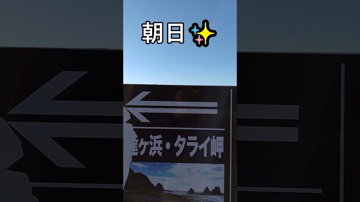 「弓ヶ浜」秋の朝✨絶景日本の渚１００選！静岡県南伊豆町😊 #shorts