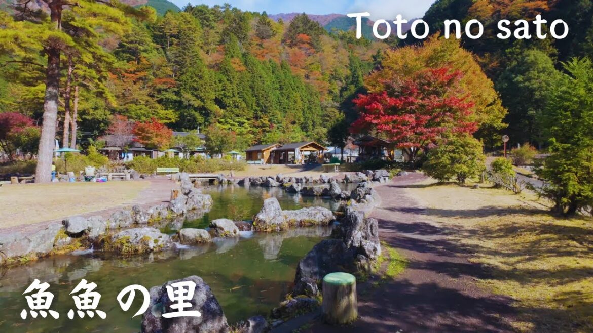 【4K】魚魚の里 – Toto no sato / 梅ヶ島 / 日影沢親水園 / Walking tour / Japan / DJI Osmo Pocket3 【4K】魚魚の里 - Toto no sato / 梅ヶ島 / 日影沢親水園 / Walking tour / Japan / DJI Osmo Pocket3