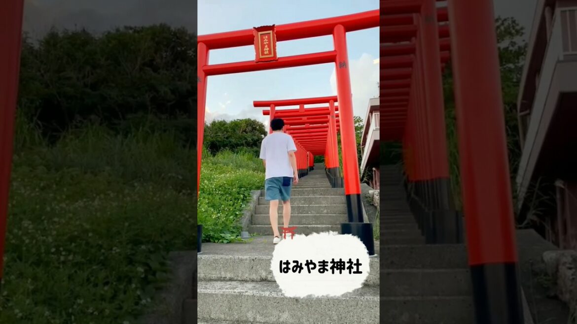 【沖永良部島】おじさんシンガーソングライターの旅行記！知名町で見つけた絶景スポット #shinichirowatanabe