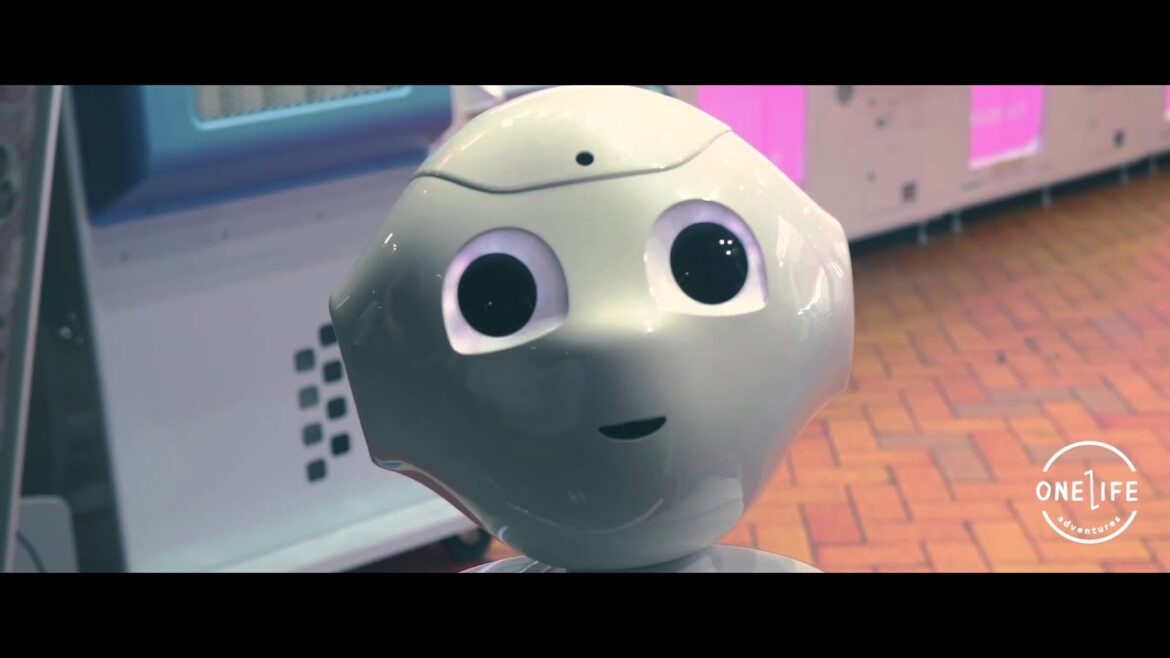 We Travel Around JAPAN For 10 Days | One Life Adventures We Travel Around JAPAN For 10 Days | One Life Adventures