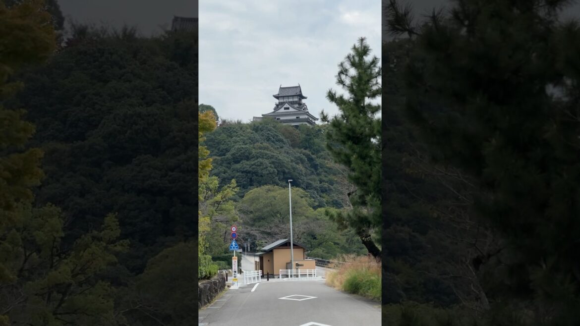 교토 감성 좋아하시는 분들 여기 가세요! ⭐️댓글⭐️