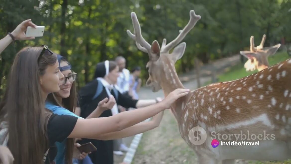 12 Days in Japan a Self-Guided Tour 12 Days in Japan a Self-Guided Tour