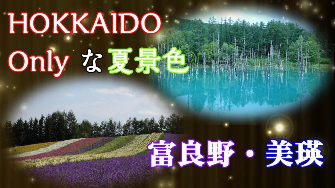 HOKKAIDO Only な夏景色　～美瑛 青い池・「北の国から」富良野のラベンター～　#HOKKAIDO #BIEI #FURANO #AOIIKE #Lavender #4K #北の国から