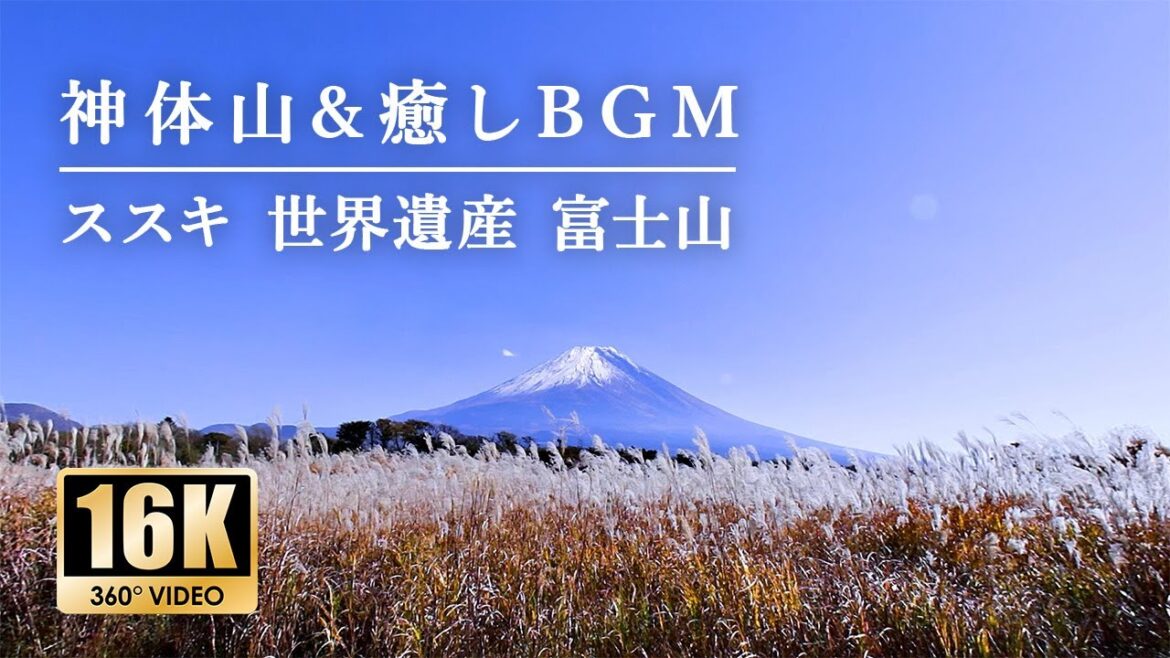 【神体山&癒しBGM 360°VR】黄金色のススキ & 富士山と幻想ヒーリングミュージック 【神体山&癒しBGM 360°VR】黄金色のススキ & 富士山と幻想ヒーリングミュージック