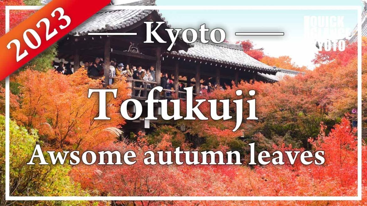 The sea of autumn leaves from Tsutenkyo Bridge is the No. 1 autumn view in Kyoto! The sea of autumn leaves from Tsutenkyo Bridge is the No. 1 autumn view in Kyoto!