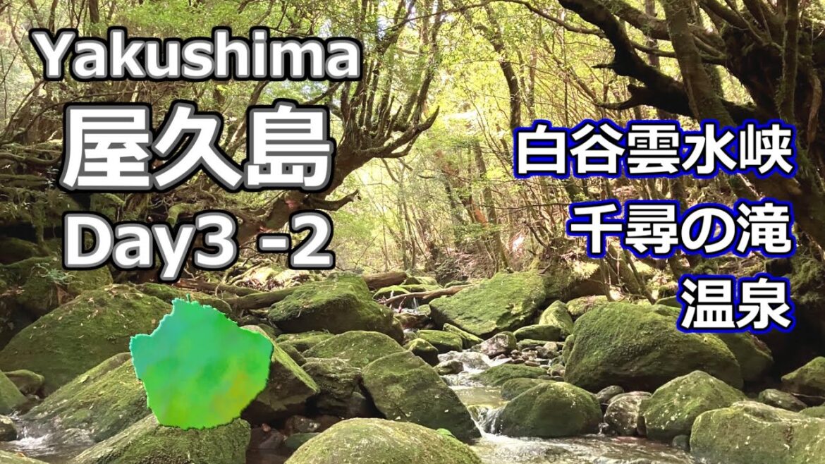 屋久島【白谷雲水峡 その他】2023年7月（4/5）